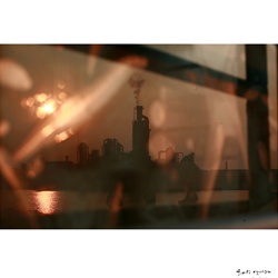 dailyPhoto37